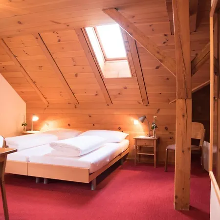 Toggenburgerhof 3*